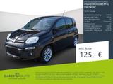 Fiat Panda 1.2 8V Lounge - Fiat Panda Gebrauchtwagen in Bremen