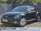 Volkswagen Beetle Lim. 1.2 Fender Edition NAVI XEN TEM KLI - Volkswagen Beetle: Fender Edition