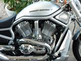 Harley-Davidson VROD VRSCDX Night Rod Special*Jubi.-Mod.*8TKM* - HARLEY-DAVIDSON VRSCDX NIGHT ROD SPECIAL