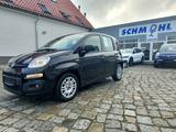 Fiat Panda Hybrid NAVI Klima Sitzheizung - gebrauchte Fiat Panda aus dem Jahr 2021