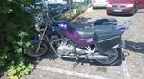 Suzuki VX800 - SUZUKI VX 800