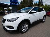 Opel Grandland (X) 1.5 D Business Edition AUT/LED/RFK - Opel Grandland (X) Business-Edition mit Diesel-Antrieb