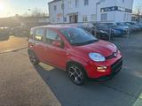 Fiat Panda Sport/orig16TKM - Fiat Panda Gebrauchtwagen in Mannheim