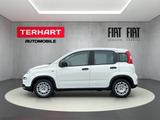 Fiat Panda 1.0 Mild Hybrid/PDC/Start&Stopp/Nebelschei - Fiat Panda: 1.1