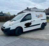 Citroën Citroen jumpy 2.0 HDI neu TÜV neu Inspektion - gebrauchte Citroën Jumpy aus dem Jahr 2008