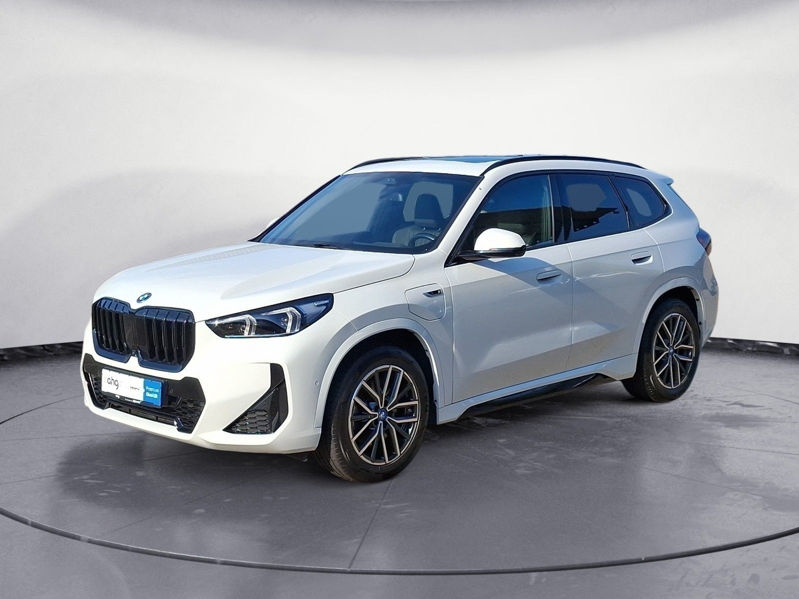 BMW X1 xDrive30e Steptronic M SPORT Panorama AHK Dri