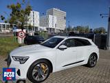 Audi e-tron 55 quattro advanced S-LINE+PANO+NAVI+CAM - weiße Audi e-tron