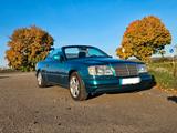 Mercedes-Benz 220 A124 W124 Cabrio Sportline - Mercedes-Benz 220: Cabrio, 220s