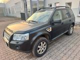 Land Rover Freelander TD4 HSE Allrad Navi Leder Panorama - gebrauchte Land Rover Freelander aus dem Jahr 2007