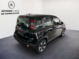 Fiat Panda Cross 1.0 GSE /RADIO/KLIMA/NEBELSW - Fiat Panda: Kleinwagen