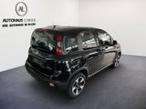 Fiat Panda Cross 1.0 GSE /RADIO/KLIMA/NEBELSW - Fiat Panda mit Benzin-Antrieb