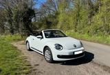 Volkswagen Beetle 1.2 TSI BMT Cabriolet - weiß - Volkswagen Beetle in Duisburg