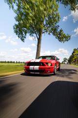 Ford Mustang SHELBY GT500 SVT V8 13k KM !! TOP !! - Ford Mustang: Svt