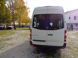 Mercedes-Benz Sprinter 313  CDI MAXI; HOCH+LANG; GROßE KLIMA - Mercedes-Benz Sprinter: Maxi Lang