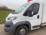 Fiat Ducato Kofferaufbau / Transporter / Lieferwagen - Lieferwagen gebraucht