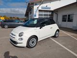 Fiat 500 1.0  Hybrid Dolcevita Panorama,PDC,Bicolor - Fiat 500: Bicolor