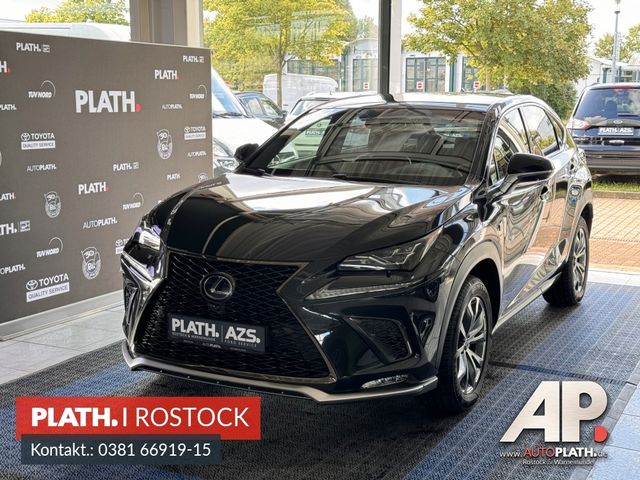 Lexus NX 300  h