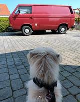 Volkswagen T3 Kombi 1982 rot zugelassen und H Kennzeichen