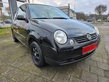 Volkswagen Lupo 1.0 Oxford 2.Hand, Servo, HU 03/2027, Euro4 - Volkswagen Lupo Oxford mit Benzin-Antrieb