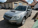 Subaru Forester 2.0 Diesel 4  4 Allrad - Subaru Forester in Nürnberg