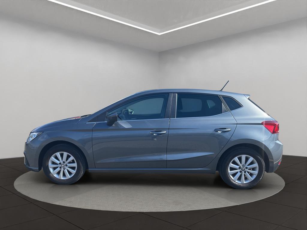 Seat Ibiza Style