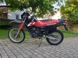 Honda XL 600 PD 04 - HONDA XL 600
