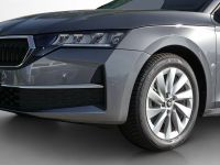 Skoda Octavia - Vorschau Bild 13