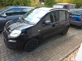Fiat New Panda 1.2 8V - - schwarze Fiat New Panda