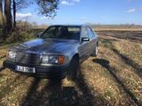 Mercedes-Benz W124 250 Diesel - Topzustand - H-Kennzeichen - Mercedes-Benz 250 W124 mit Diesel-Antrieb