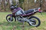 Kawasaki KLE500, aus Erstbesitz in top Zustand - KAWASAKI KL 500