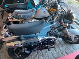 Honda DAX ST125 2025 E5+  0,0%Finanzierung 50/50Aktion - HONDA DAX 50