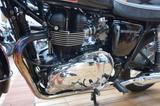 Triumph Bonneville T100+986MF+Navi+2xKoffer+Sehr gepfleg - Offers