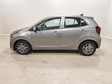 Kia Picanto 1.0  Vision Navi|RFK|SHZ|Klima - Kia Picanto aus 2024