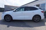 Ford Kuga 1.5 EB ST-LineX VC LED Navi Winterpaket B&O - Ford Kuga