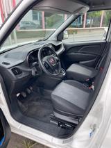 Fiat Doblo Cargo Maxi Trenngitter verstellbar Freispr - Fiat Cargo doblo