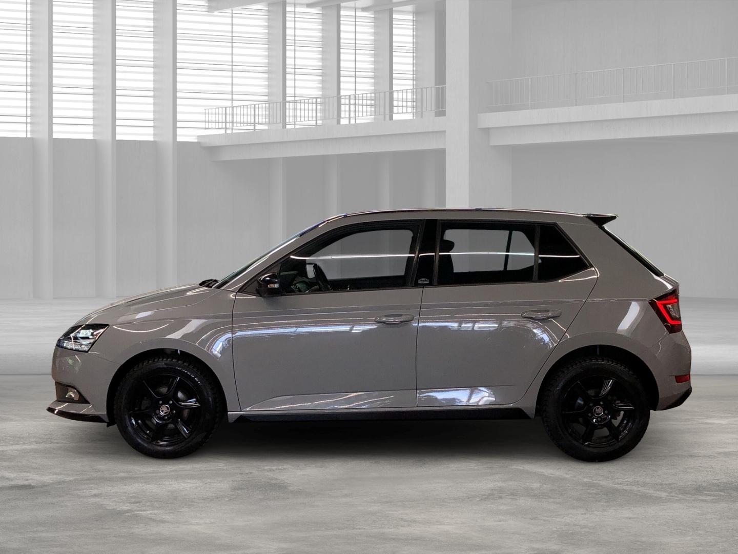 Skoda Fabia Monte Carlo 1.0 TSI LED Sperrdiff. Apple C