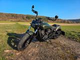 Indian Scout Rogue Custom Bobber Einzelstück - INDIAN SCOUT BOBBER