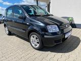 Fiat Panda 1.2 8V Dynamic/Klima - gebrauchte Fiat Panda aus dem Jahr 2007