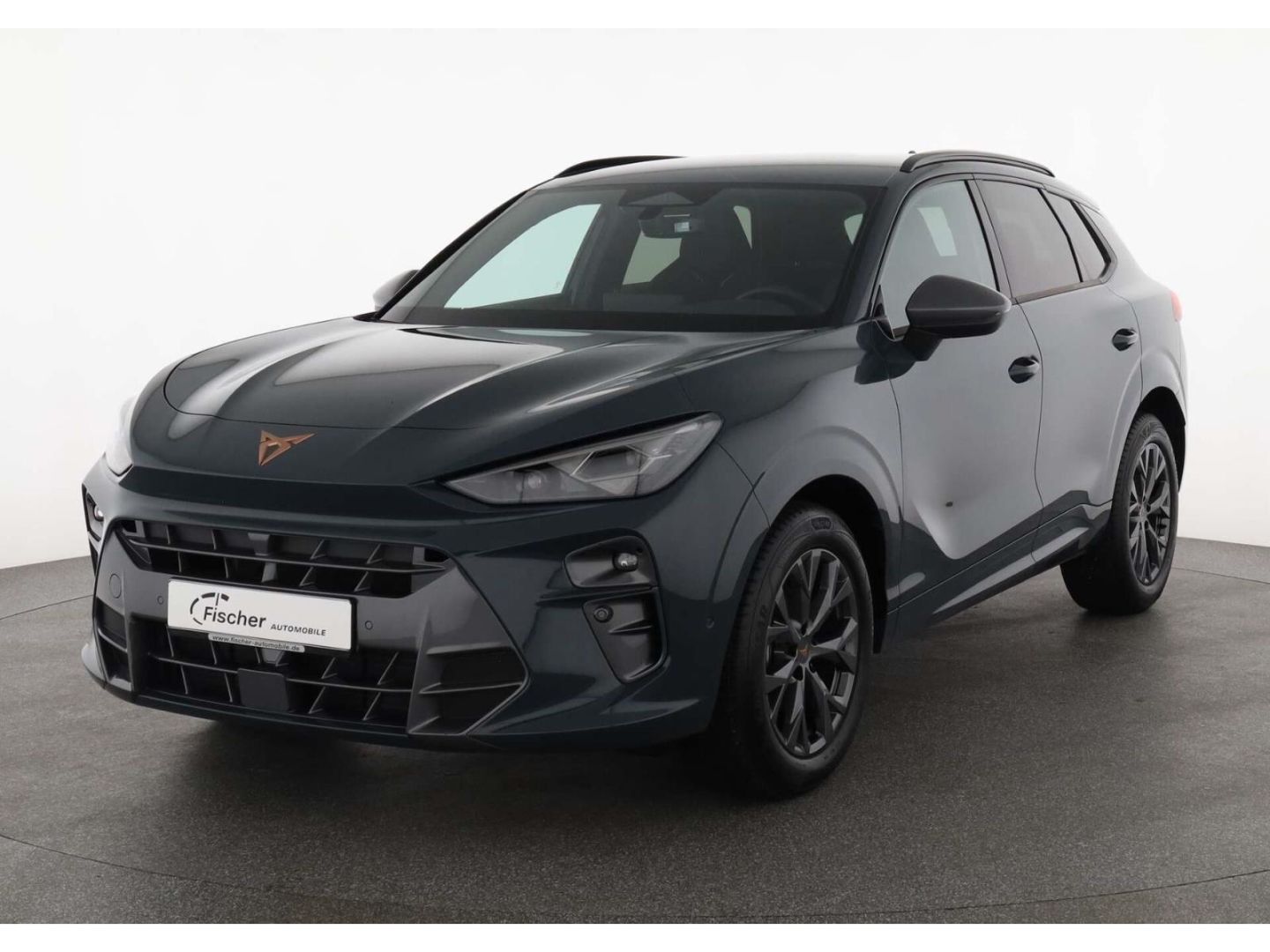 Cupra Terramar - Bild 2