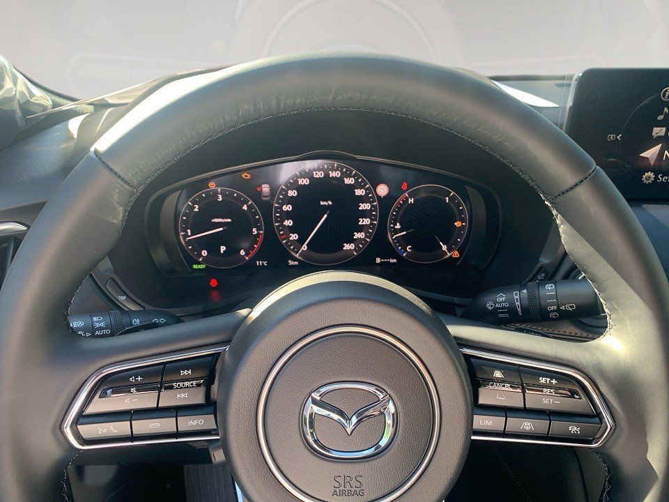 Fahrzeugabbildung Mazda CX-60 3.3d 254PS AWD Homura COSO