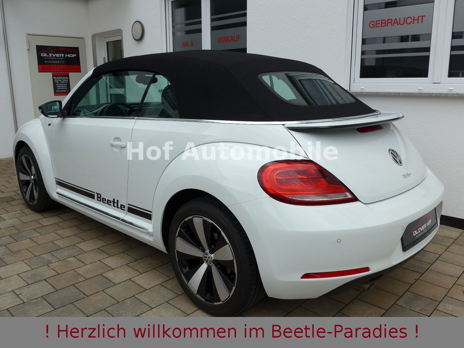Volkswagen Beetle 1.2TSI Allstar Plus Xenon Leder Fender foto 4