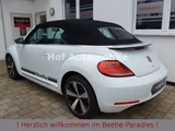 Volkswagen Beetle 1.2TSI Allstar Plus Xenon Leder Fender - Volkswagen Beetle: Fender