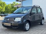 Fiat Panda 1.2 8V Dynamic-Klima-5.Türer-