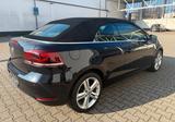 Volkswagen Golf VI Cabriolet Life BMT DSG TOP ZUSTAND/1HAND - mit Diesel-Antrieb: Cabrio, Automatik