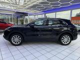 Porsche Cayenne OPF (EU 6d-T) - Porsche Cayenne mit Benzin-Antrieb: Geländewagen