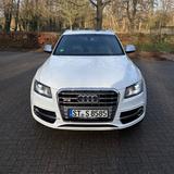 Audi SQ5 3.0 TDI V6 Quattro Navi AHK Pano SHZ 8-Fach  - weiße Audi SQ5