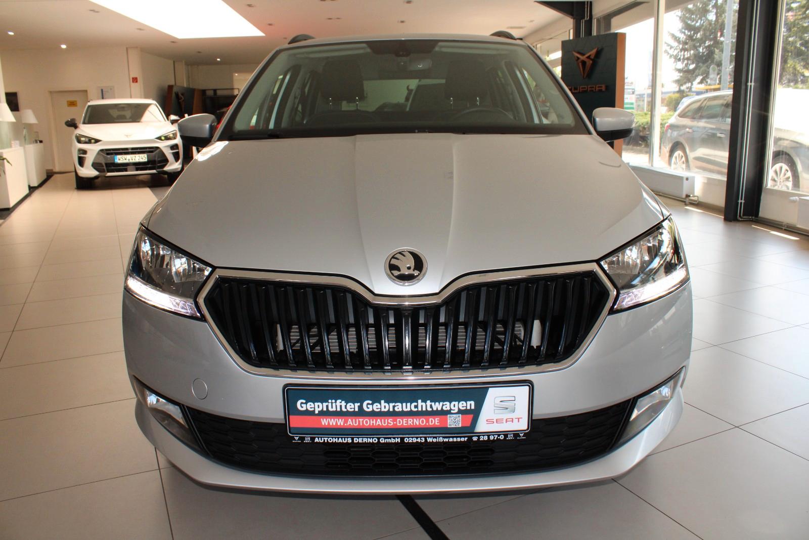 Skoda Fabia Combi Navi*DAB*Winterpak.*Carplay*Tempomat