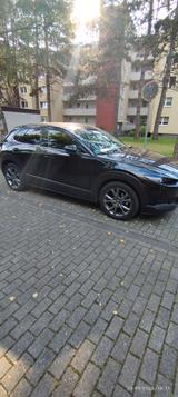 Mazda CX-30 2.0 SKYACTIV-X M-Hybrid Edition 100 Ed... - Mazda CX-30 Gebrauchtwagen in Köln