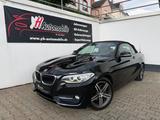 BMW Cabrio 220 d Sport Line+XENON+PDC+Automatik - mit Diesel-Antrieb: Cabrio, Automatik