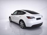 Tesla Model Y Long Range Dual Motor 82kWH WPU/ACC/Pano - Tesla Model Y: Dual Motor